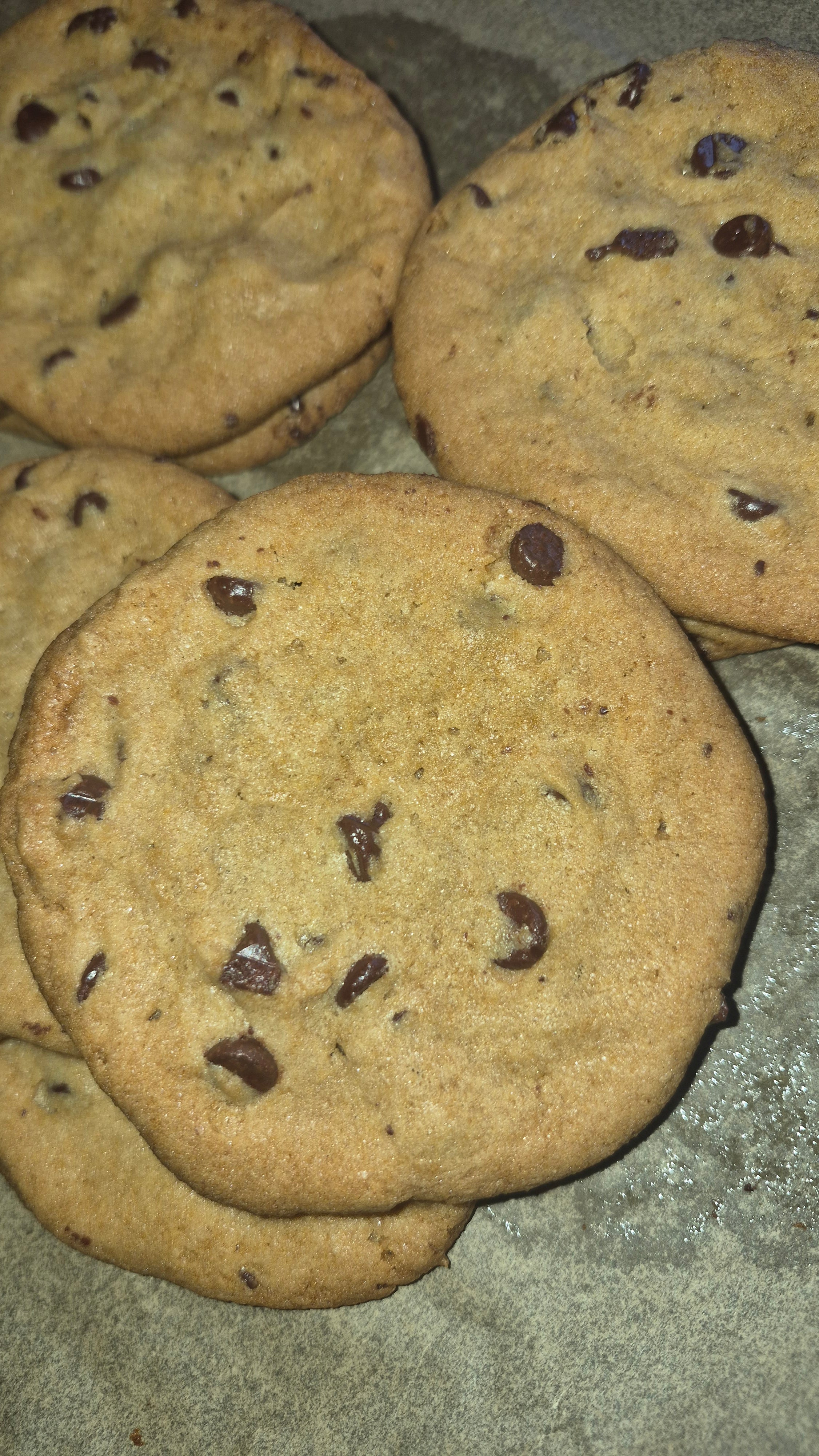 Chocolate Chip cookie Single
